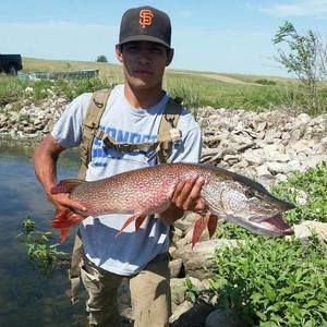 Meet your Posher, Duell